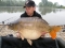 ECB Tester Marc Freeman with another French Lump