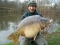 43lb 4oz Mirror Carp  Sweet Chestnut Lake  France