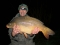 30lb 2oz