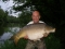 34lb 8oz Mirror