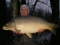 30lb 2oz Mirror