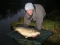 30lb 2oz