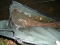 47lb Catfish going back