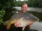 31lb 10oz Mirror