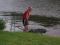 31lb 10oz Mirror going back
