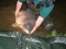 38lb Mirror going back