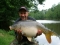 26lb Mirror