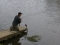 Playing a 26lb Mirror