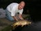 12lb Common - Original Stock going back