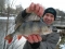 2lb 14oz