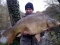 27lb Common