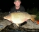 Lovely Fish 43 1/4