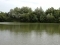 pic of rookly carp lake isle of wight