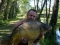 No 2 of Rick's 7  20's banked for the week