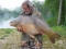 48.5 lb maveline lump