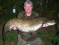 Catfish from SweetChestnut Lake, France