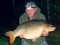 39lb exactly Sweet chestnut Lake Mirror