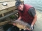 Mirror Carp Drayton Res