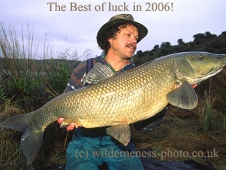 Click thumbnails below to view enlargements in lightbox player Click thumbnails below to view enlargements in lightbox player