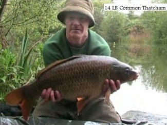 Click thumbnails below to view enlargements in lightbox player