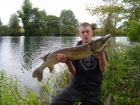 B Pool 18lbs 4oz Pike from Burlington pool (Midlesure Angling Centre Bushbury)Tel:01902-783491