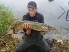 B Pool 11lbs 0oz Pike from Burlington pool (Midlesure Angling Centre Bushbury)Tel:01902-783491