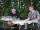 50lbs 0oz Catfish (Wels) from Morgane - Bigot Lakes. Far Right Corner