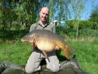 39lbs 3oz Mirror Carp from Golden Oak Lake - Angling Lines Holidays using Quest Bait  Ghurkka Spice Flouro snowman.. Caught fishing in a quiet corner of Dam under overhanging bush.
