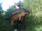21lbs 4oz Mirror Carp from Jammies. Tight against lilly's on the left side of the swim.