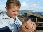 4oz Ballan Wrasse from Sandown Pier