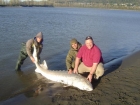 300lbs 0oz Sturgeon from Fraser River