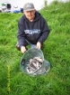 31lbs 4oz Mixed Bag from Lough Muckno. Mixed bag of mainly roach (plus skimmers, hybrids and perch) all caught fishing the pole at around 8m into about six feet of water