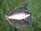 Matthew Ruston 6lbs 4oz Common Carp