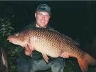 36lbs 1oz Common Carp from Trent Severn River using Kevin Nash  - Scopex readymade.. Caught fishing a large bend and from a 11 foot drop off. Kevin Nash Scopex Boilies over maize & groundbait. 35lbs