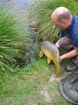 25lbs 9oz Mirror Carp from Les Burons Carp Fishing using Mainline Fusion.. Caught fishing to left side of island in 3 feet of water. Using Century NG Rods, Shimano 6000GTE reels, 15lbs Shimano Catana