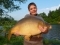 New PB for William!