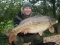 26lb 12oz Common Carp at Beausoleil