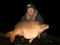 31lb 8oz Beausoleil