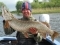18 lbs 3 oz Irish Esox