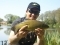 Loved this, even after a 20lb+ carp. Heaven