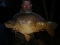 29-04-2011 Rhubarb's Mirror Carp 30lb 4oz