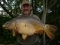 30-04-2011 Rhubarb's Mirror Carp 29lb 15oz