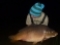 53lb new pb.