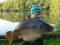 47lb