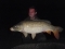 Fab Common!!
