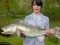 Zander attack