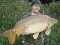 26lb Mirror