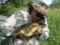 3lb 11oz Bream