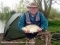 7lb 8oz Bream caught by Stewart Wells