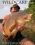 GLOBETROTTER cradles huge mirror carp